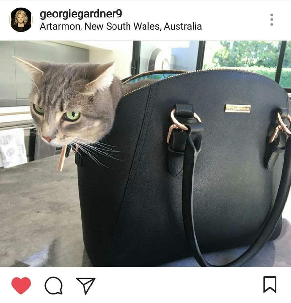 TODAY SHOW host GEORGIE GARDNER sharing her bag